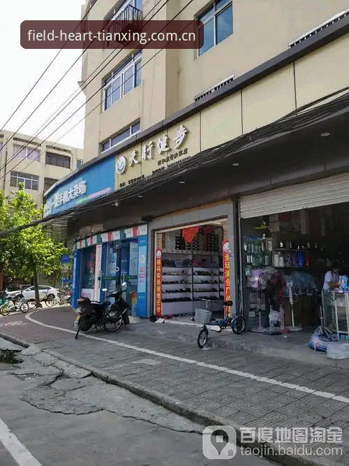 天行体育官网入口中文官方主页登录入口到底该怎么找？老用户替你避坑